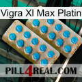 Vigra Xl Max Platinum new08
